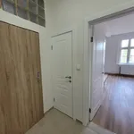 Rent 1 bedroom apartment in Teplice