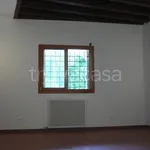 Rent 2 bedroom apartment of 74 m² in Padova