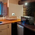 Rent 2 bedroom apartment of 50 m² in Prato