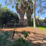 Rent 4 bedroom house in Nedlands