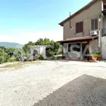 Rent 2 bedroom apartment of 55 m² in Velletri