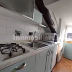 Rent 1 bedroom apartment of 38 m² in Turin