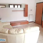 Rent 3 bedroom apartment of 80 m² in Rome