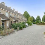 Rent 3 bedroom apartment of 121 m² in Emmen