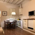 Rent 2 bedroom apartment of 50 m² in Firenze