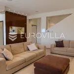 Rent 4 bedroom apartment of 353 m² in Zagreb