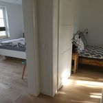 Rent 3 bedroom apartment of 75 m² in Köln