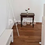 Rent 4 bedroom apartment of 86 m² in Pisa