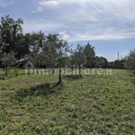 Single family villa Strada Provinciale Ariana, Macere, Artena