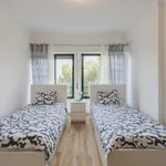 Rent 3 bedroom apartment of 114 m² in Belas