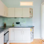 Rent 1 bedroom apartment of 52 m² in Berlin