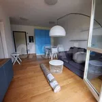 Rent 1 bedroom apartment of 41 m² in Varese