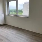 Huur 3 slaapkamer appartement in Wetteren