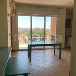 Rent 1 bedroom apartment of 50 m² in Roma