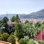 Rent 2 bedroom house of 50 m² in Palermo