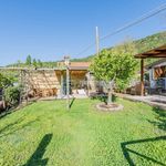 Single family villa via Settevene Est, Trevignano Romano