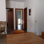 Rent 3 bedroom house of 66 m² in Castelvetrano