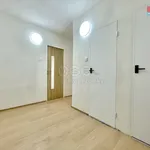 Rent 2 bedroom apartment in Teplice