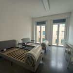 Rent a room of 20 m² in Bologna