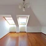 Rent 5 bedroom apartment of 210 m² in Prague