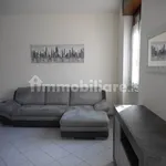 Rent 3 bedroom apartment of 90 m² in Lodi