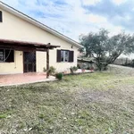 Rent 3 bedroom house of 100 m² in Formello