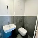 Pronajměte si 3 ložnic/e byt o rozloze 69 m² v Pilsen