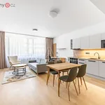 Pronajměte si 1 ložnic/e byt o rozloze 65 m² v Trhový Štěpánov