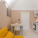 Rent 1 bedroom apartment of 55 m² in turin