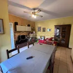 Rent 4 bedroom apartment of 100 m² in Perugia