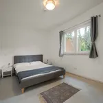 Miete 1 Schlafzimmer wohnung von 55 m² in Cologne