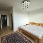 Rent 5 bedroom apartment in Prague