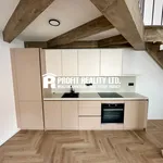 Rent 1 bedroom apartment of 52 m² in Beroun