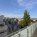 Rent 2 bedroom apartment of 34 m² in Vienna