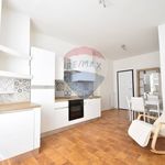 Appartamento in Affitto Castelletto sopra Ticino 39751012-77 | RE/MAX Italia