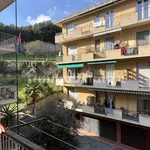 Rent 3 bedroom apartment of 88 m² in Genoa