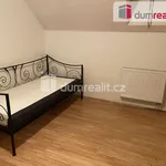 Rent 1 bedroom apartment of 15 m² in Capital City of Prague