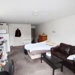 Rent 1 bedroom apartment in Dunedin