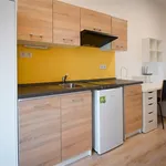 Rent 1 bedroom apartment in Brno