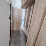 Pronajměte si 1 ložnic/e byt o rozloze 27 m² v Pilsen