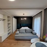 Rent 1 bedroom apartment of 32 m² in Olsztyn