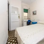 Rent 1 bedroom student apartment of 11 m² in Madrid