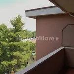 Rent 4 bedroom apartment of 80 m² in Pisa