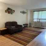 Rent 1 bedroom apartment in NY