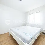 Najam 2 spavaće sobe stan od 65 m² u Zagreb