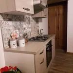 Rent 1 bedroom apartment in Viterbo