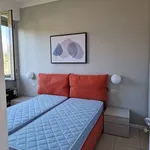 Rent 2 bedroom apartment of 36 m² in Florence