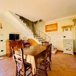 Rent 4 bedroom apartment of 98 m² in Lucca