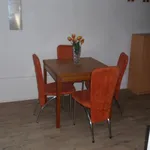 Rent 1 bedroom apartment of 31 m² in Karlovy Vary