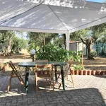 Rent 3 bedroom house of 70 m² in Seravezza